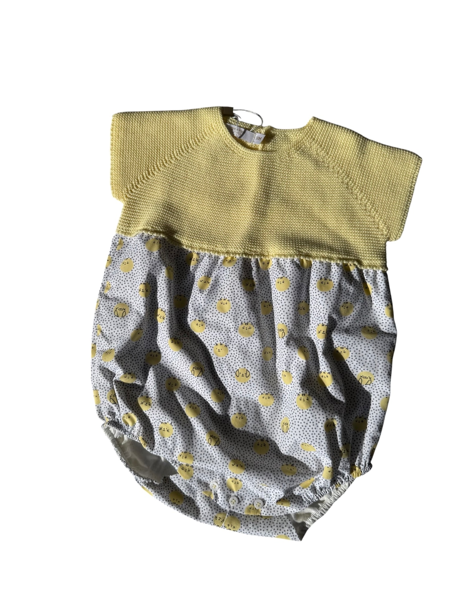 Ranita amarillo con puntitos