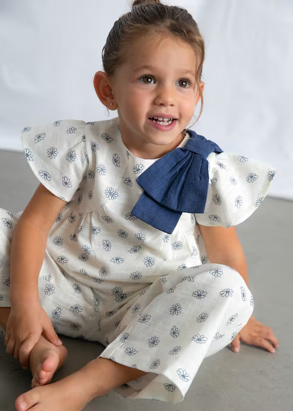 Conjunto flores azules