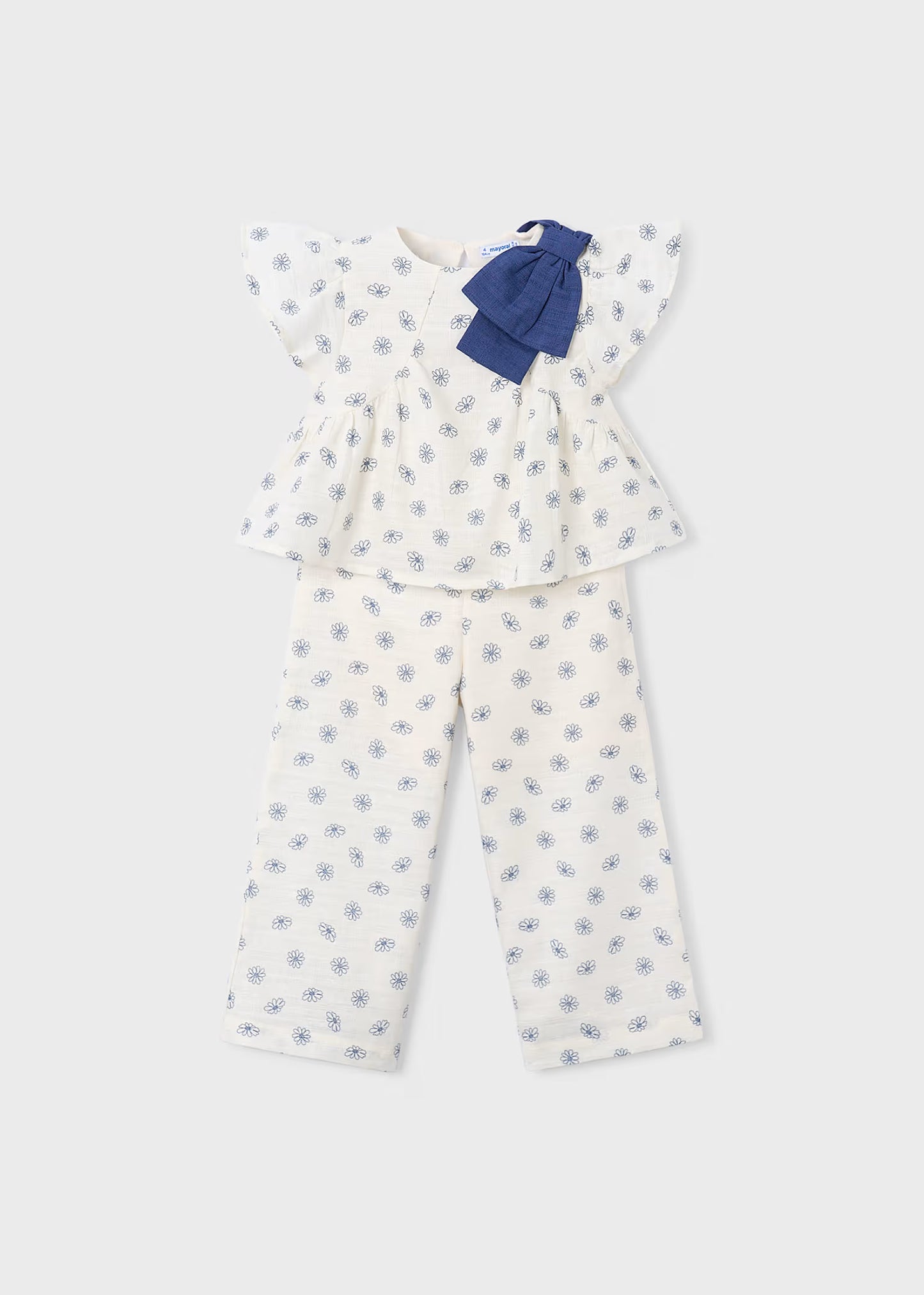 Conjunto flores azules