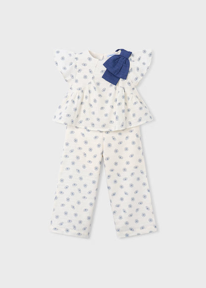 Conjunto flores azules